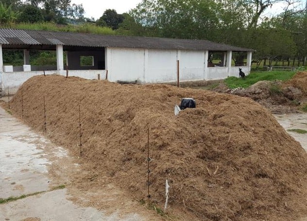 Compostagem de carcaças ganha força como solução prática e segura nas granjas brasileiras