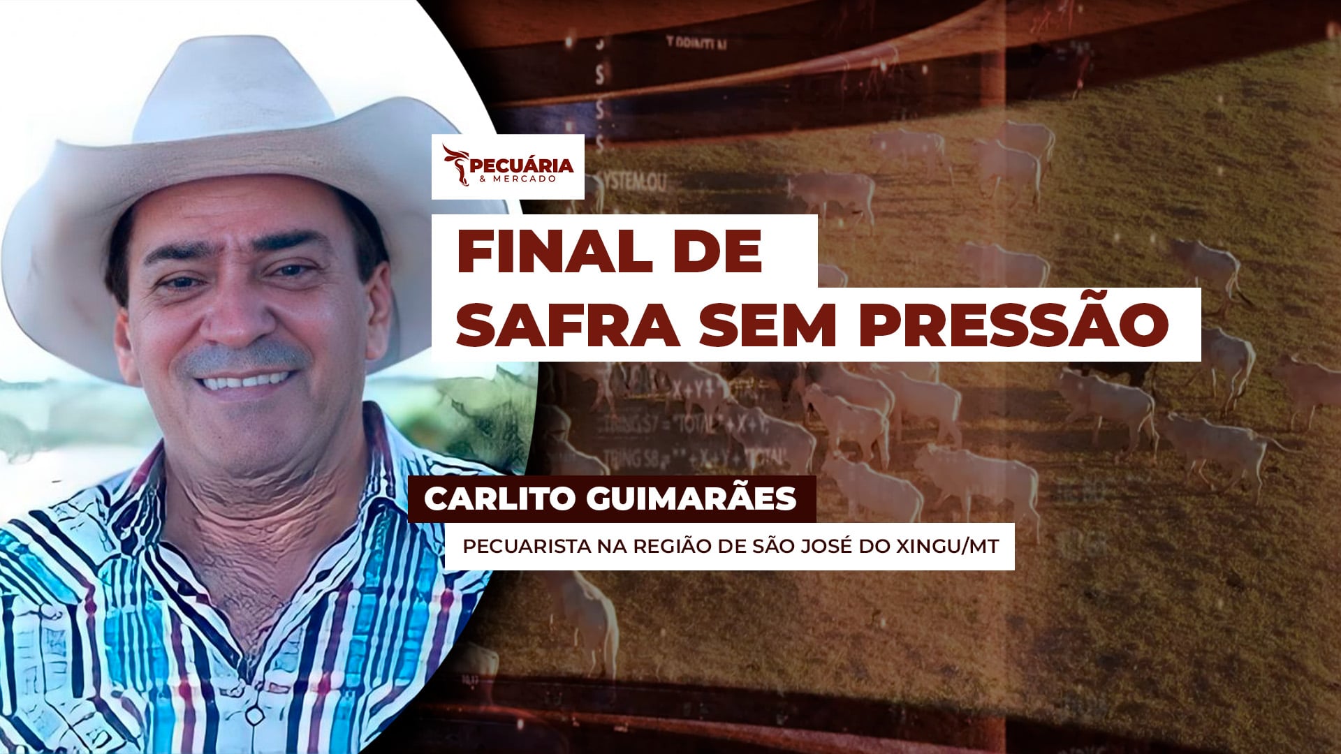 Pressão de oferta no final de safra pode ser amenizada pelas boas condições das pastagens no Centro-Norte do país.