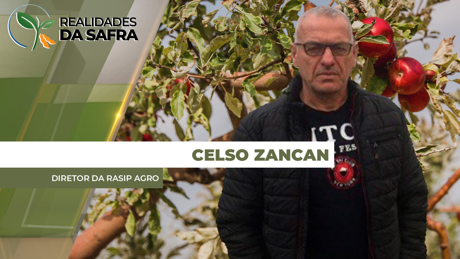 Colheita da maçã deverá ter 30% mais produção do que o registrado em 2025