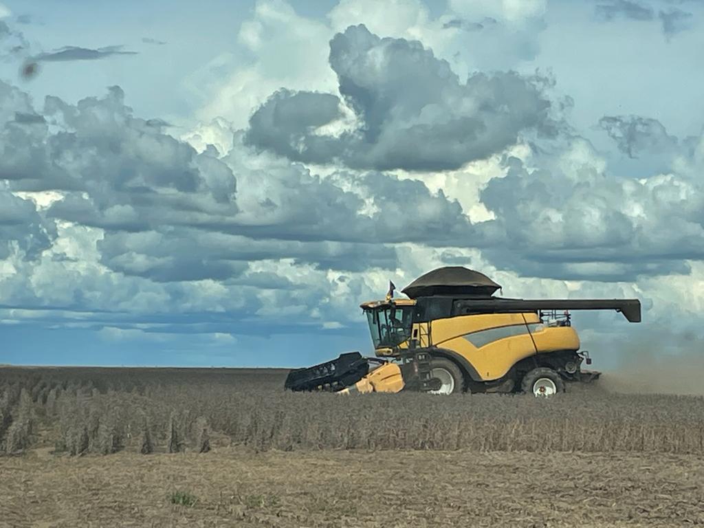 Colheita do milho ganha ritmo no Mato Grosso e Goiás e já chega aos 38,9% no Brasil, aponta Conab
