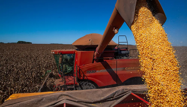 AgRural: Colheita da safrinha de milho vai a 85% no Centro-Sul; plantio de verão começa