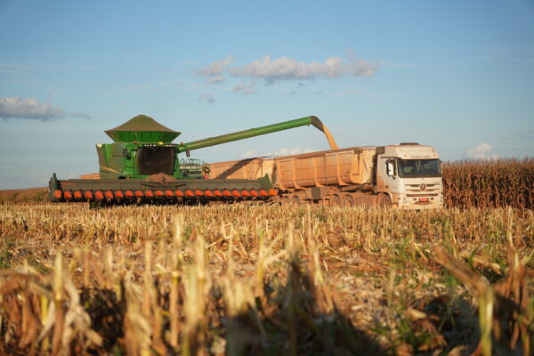 Inmet: Tempo seco amplia a janela para operações de colheita em grande parte do Brasil