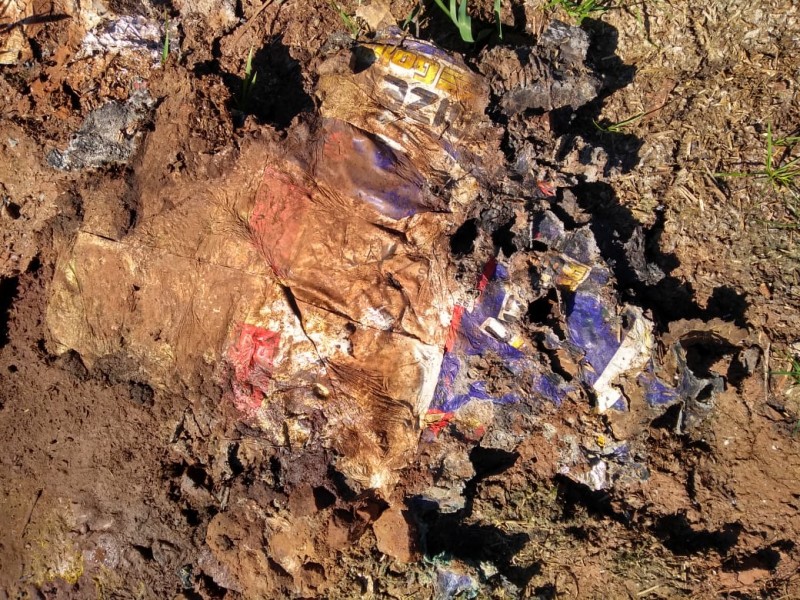 Apreensão de sementes piratas no RS - Seapdr