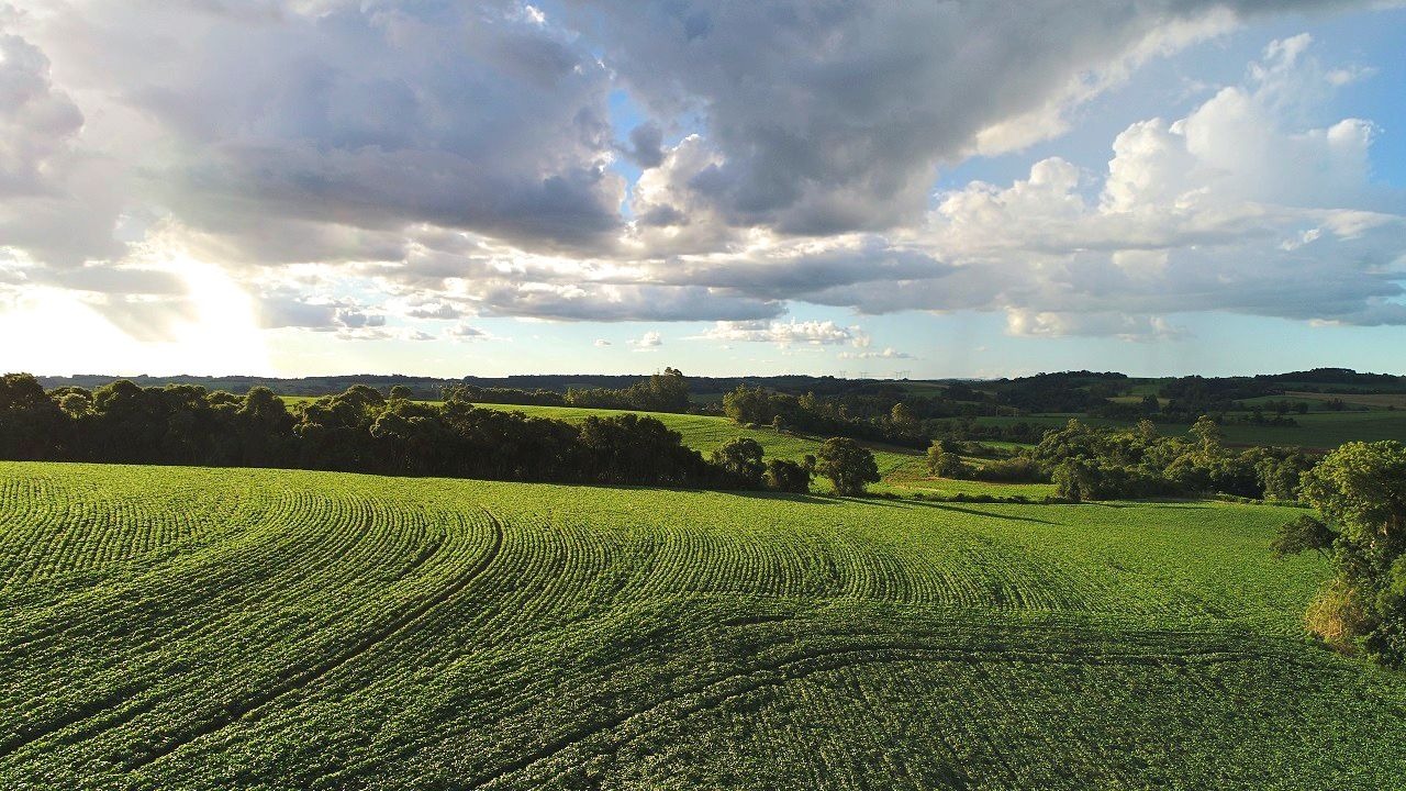 Regulamentação sobre o Pagamento por Serviços Ambientais: oportunidades e desafios para o produtor rural