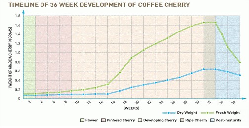 Marco Antônio Jacob - Tabela 5