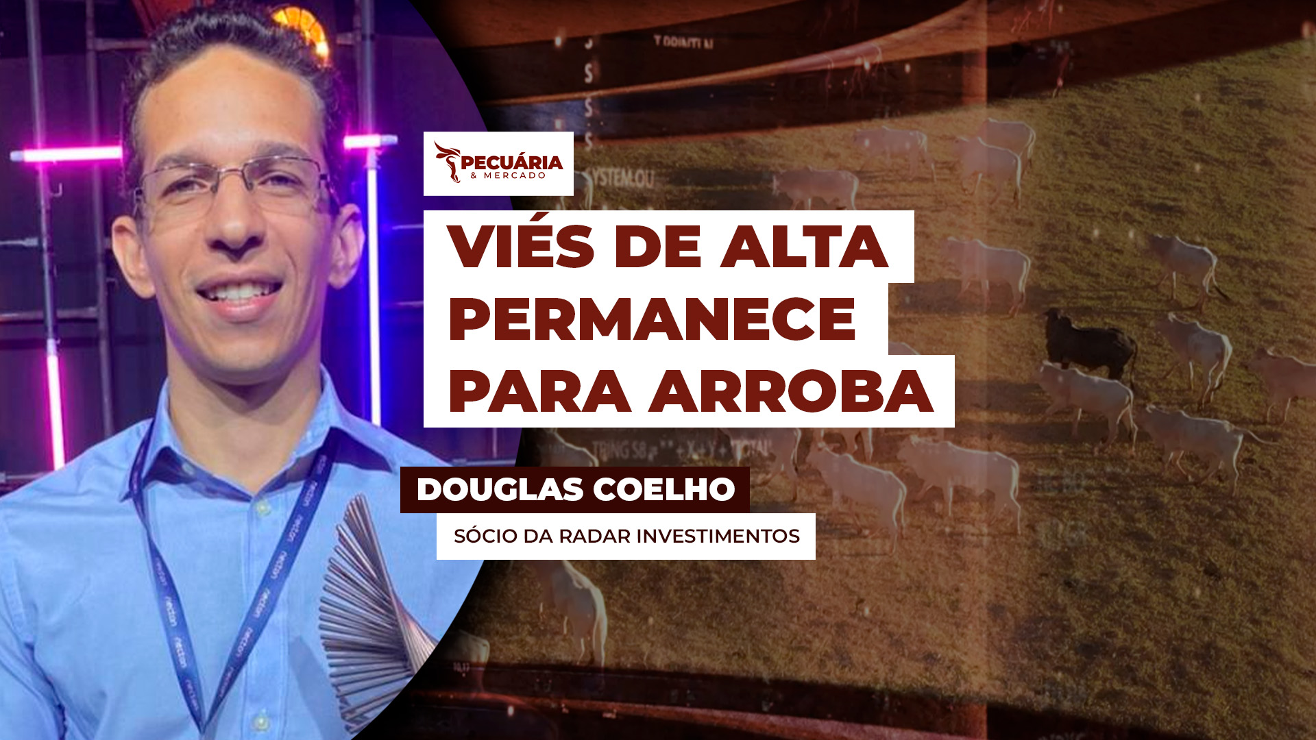 Cenário é de alta para arroba do boi em abril com a busca de novos recordes: atenção se volta para os meses seguintes