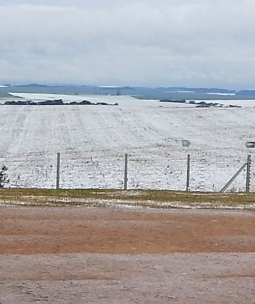 Geada em Guarapuava/PR - Foto Betoagro