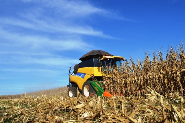 Com chuva e umidade, colheita do milho avança para 18,8% no Brasil, aponta Conab
