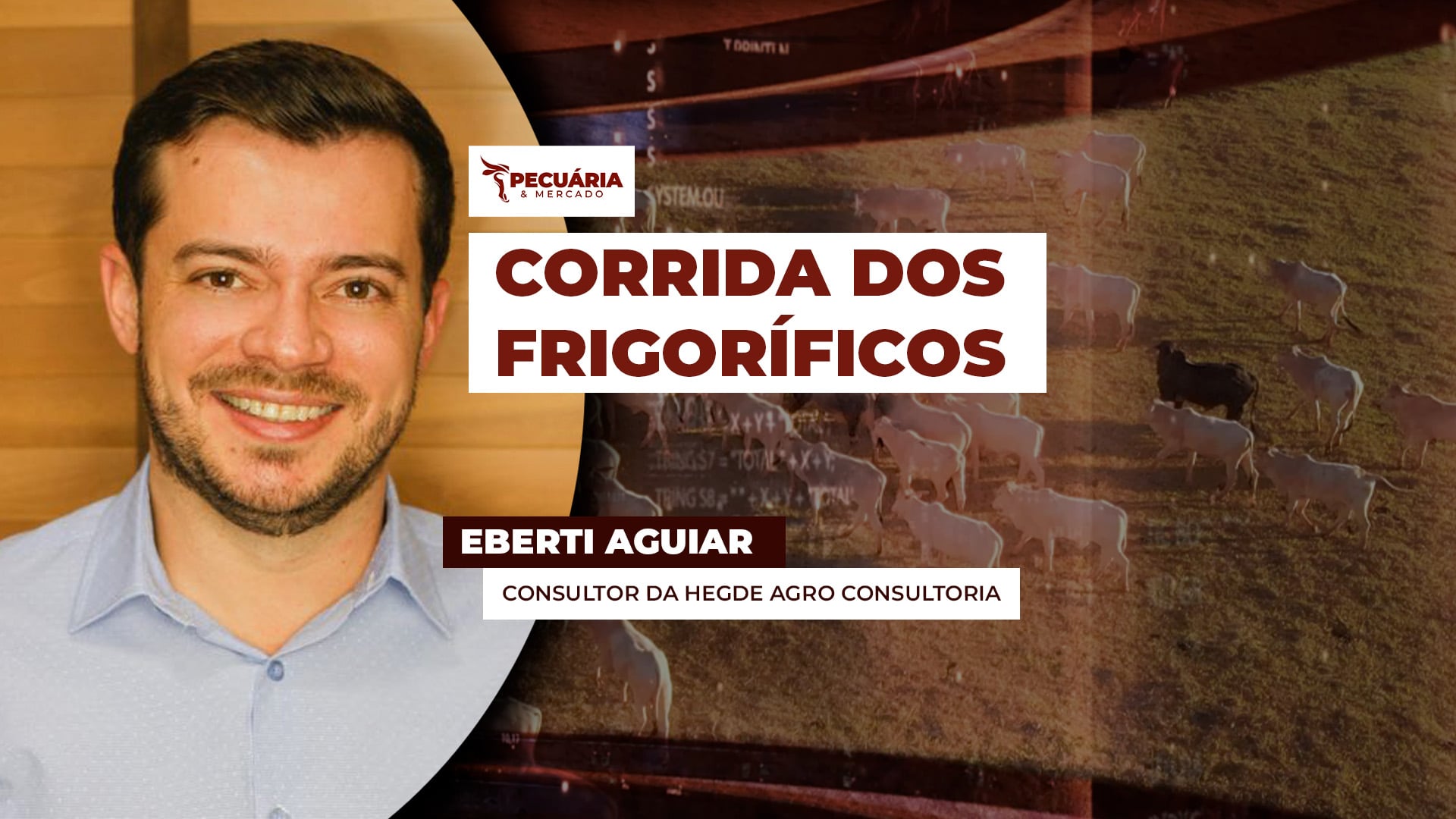 Frigoríficos em SP e MT pagam mais pela arroba do boi  na tentativa de compor as escalas dessa semana