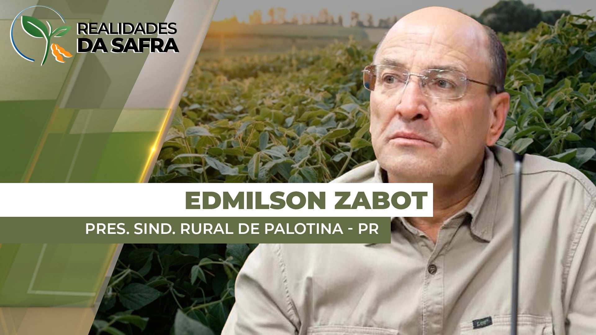 Palotina/PR esperava safra de soja de 75 sc/ha, mas projeção já foi reduzida para 60 sc/ha