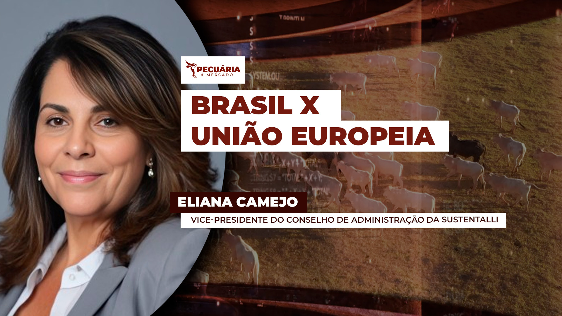 Decisão de tirar o Brasil da lista de fornecedores de carnes para UE mostra bloco mais exigente e rigoroso
