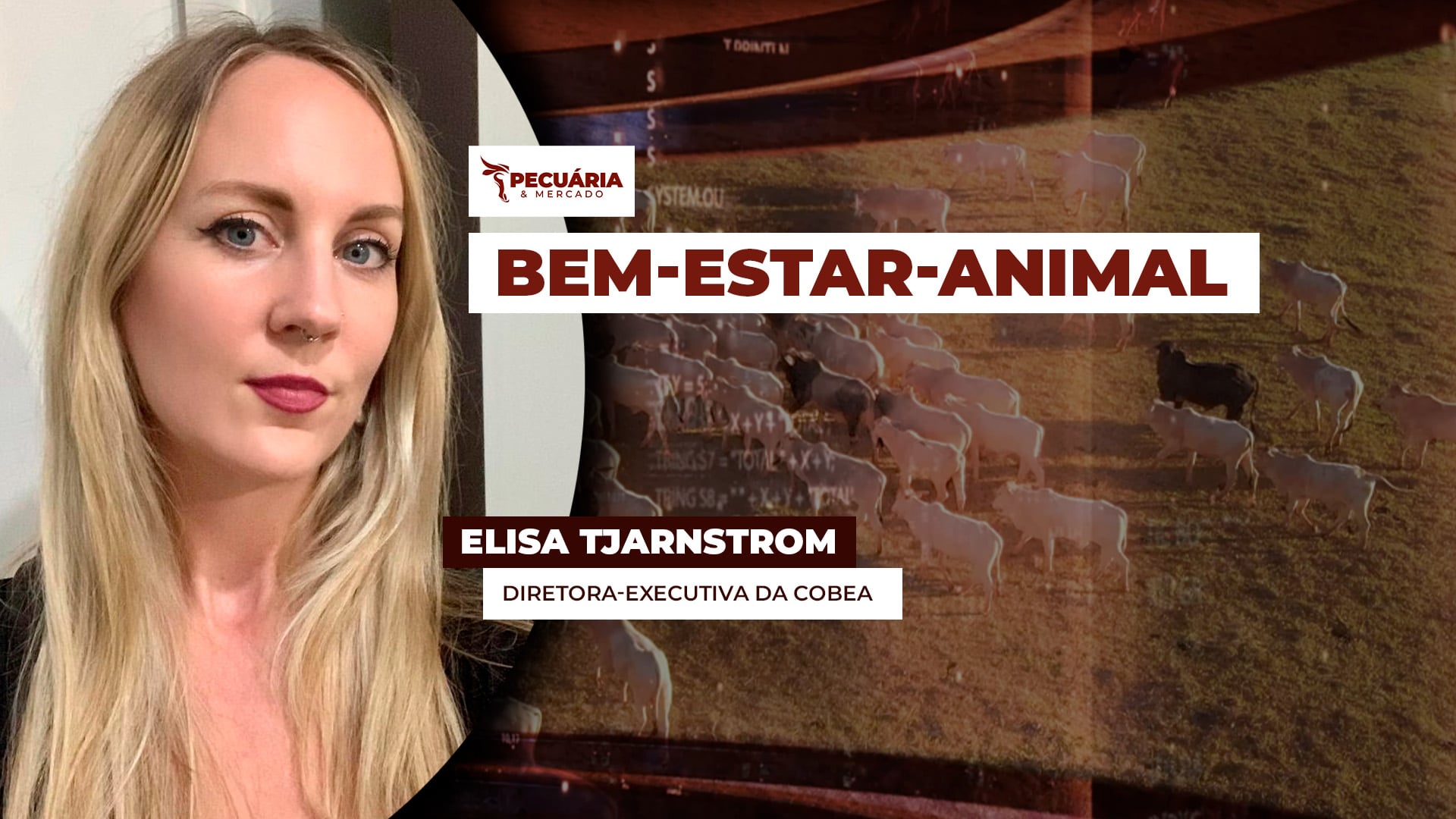 Como definir as ações que garantem o bem-estar-animal e resultam em maior eficiência no campo