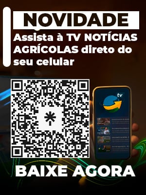 Assista à TV Notícias direto do seu celular