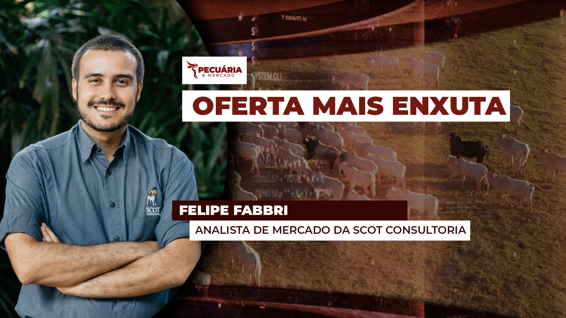 Menor oferta de animais já começando a refletir no tamanho das escalas de abate, arroba reage