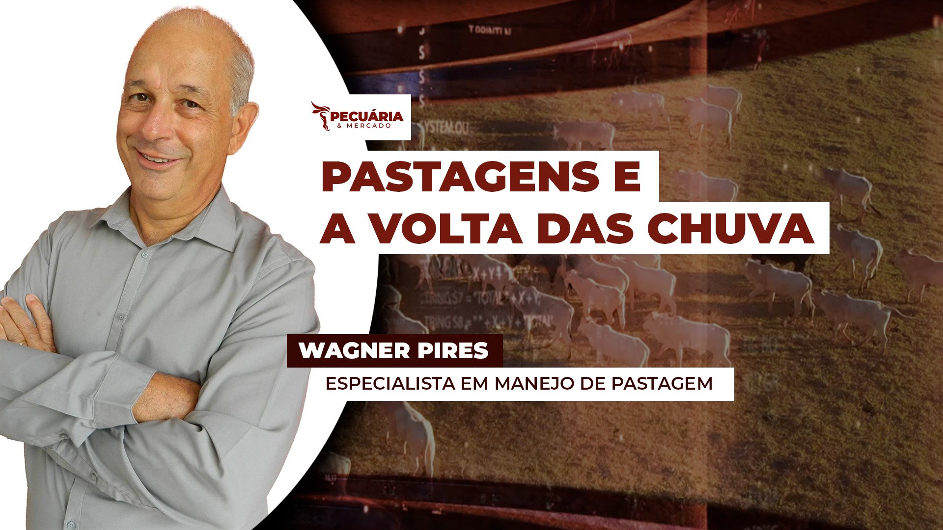 A volta das chuvas e os cuidados com a rebrota e a recuperação dos pastos