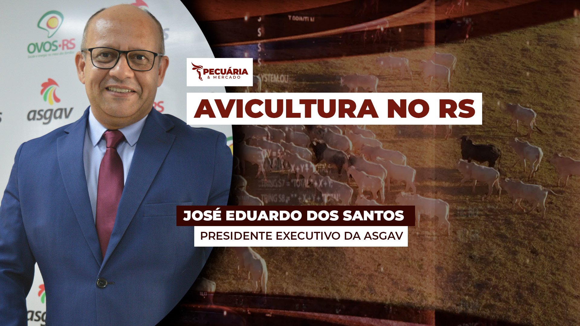 Avicultura no RS retoma patamares de exportação acima de 60 mil toneladas, equivalentes aos registrados no inícios do ano