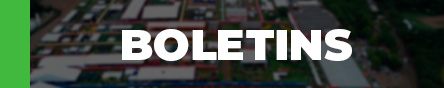 Boletins