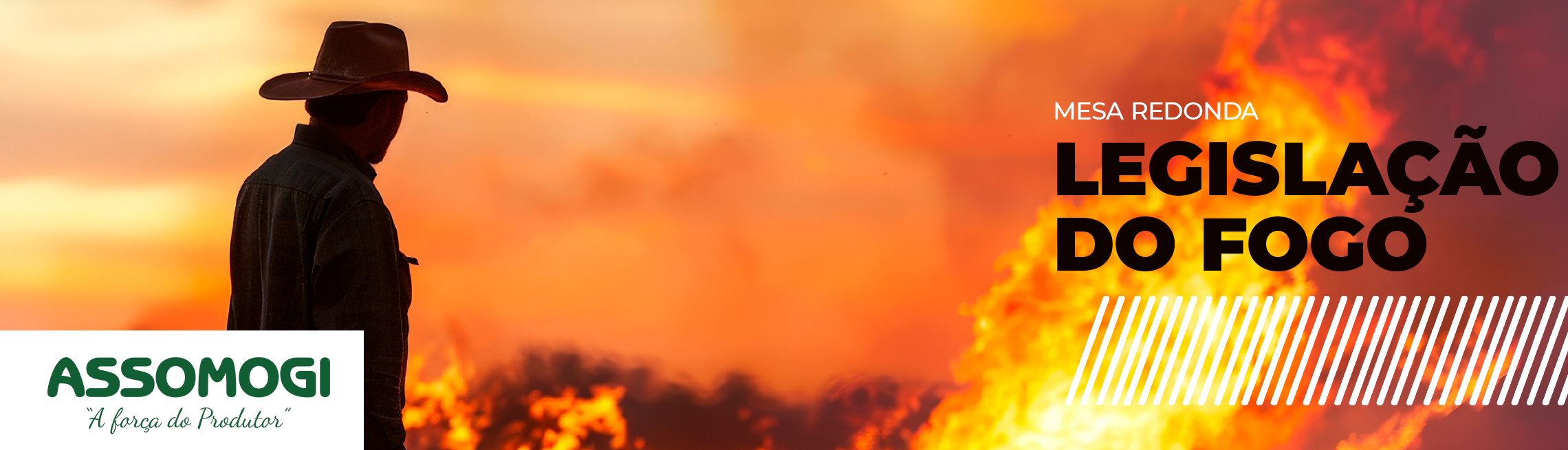 Mesa Redonda - Legislação do Fogo | Assomogi