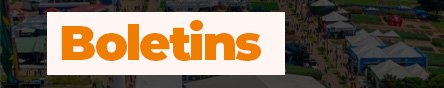 Boletins
