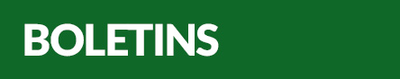 Boletins