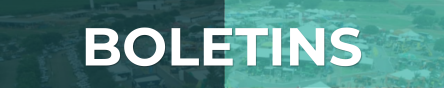Boletins