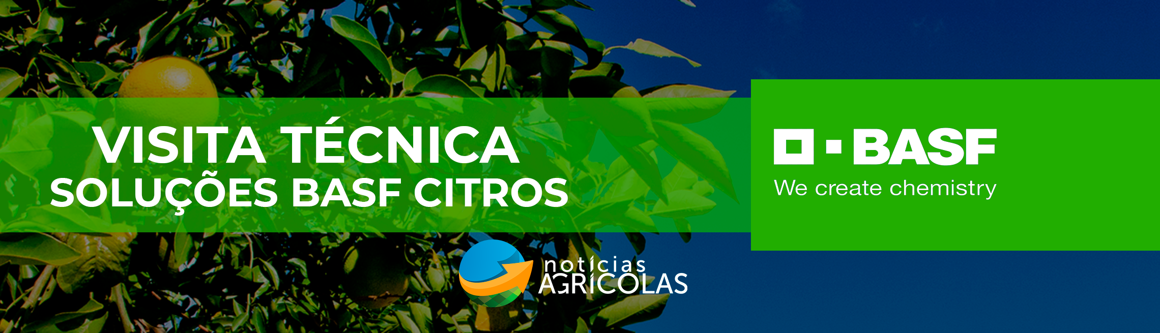 Visita Técnica - Soluções BASF Citros