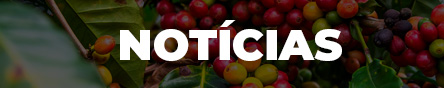 Notícias