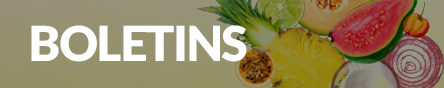 Boletins