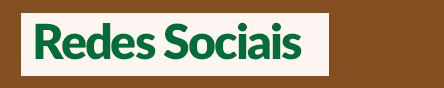 Redes Sociais