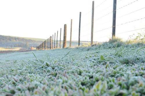 Neve em Passo Fundo 2 - Foto Zero Hora