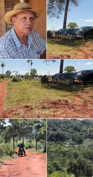 Ricardo Bacha - Buriti