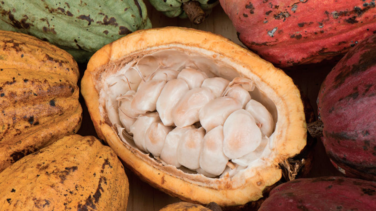 Cacau atinge o menor valor em quase três anos em Londres