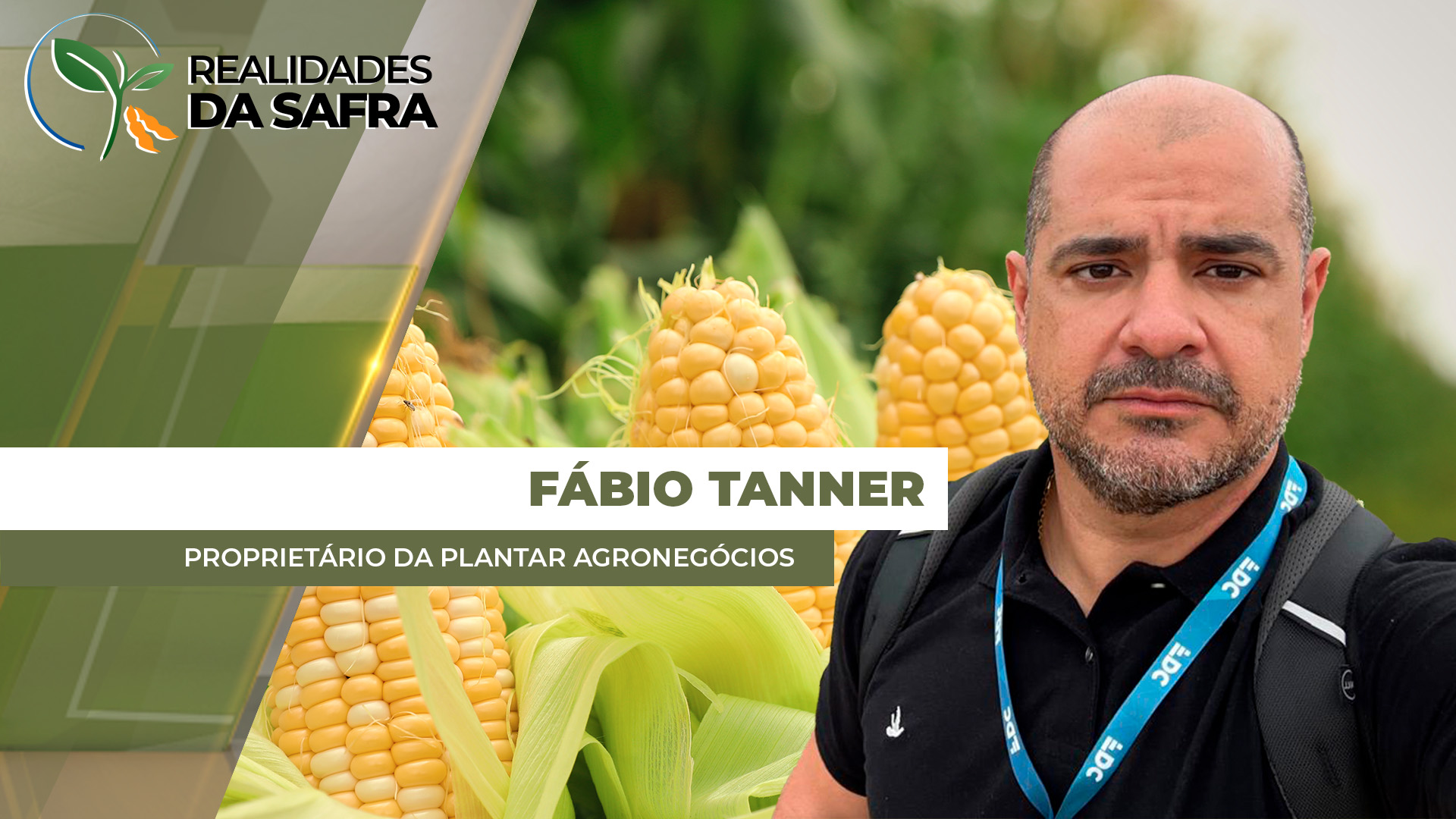 Guarda-Mor/MG começa colheita do sorgo com perdas de 60% e expectativa de quebra também no milho