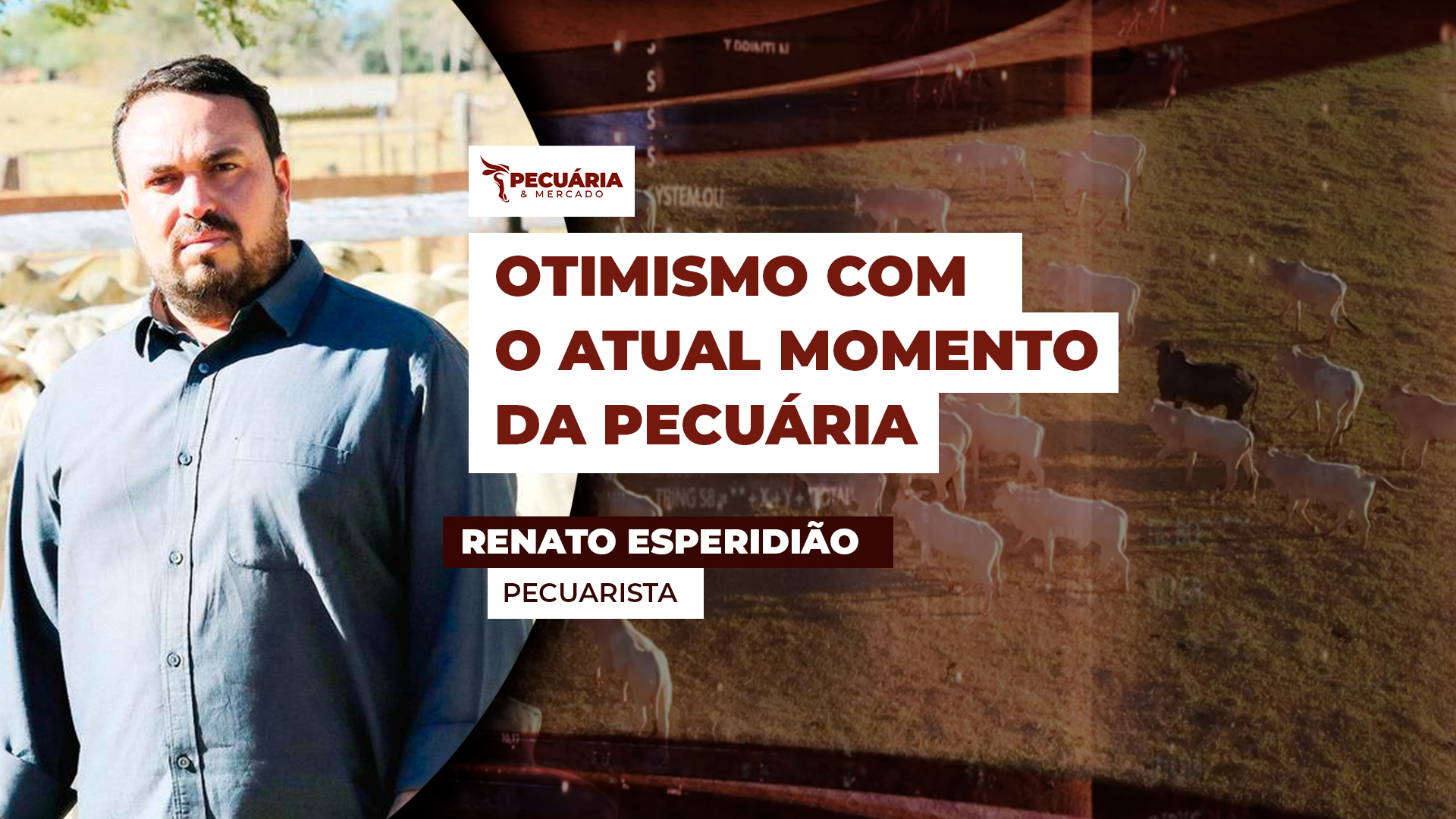 Notícias Agrícolas
