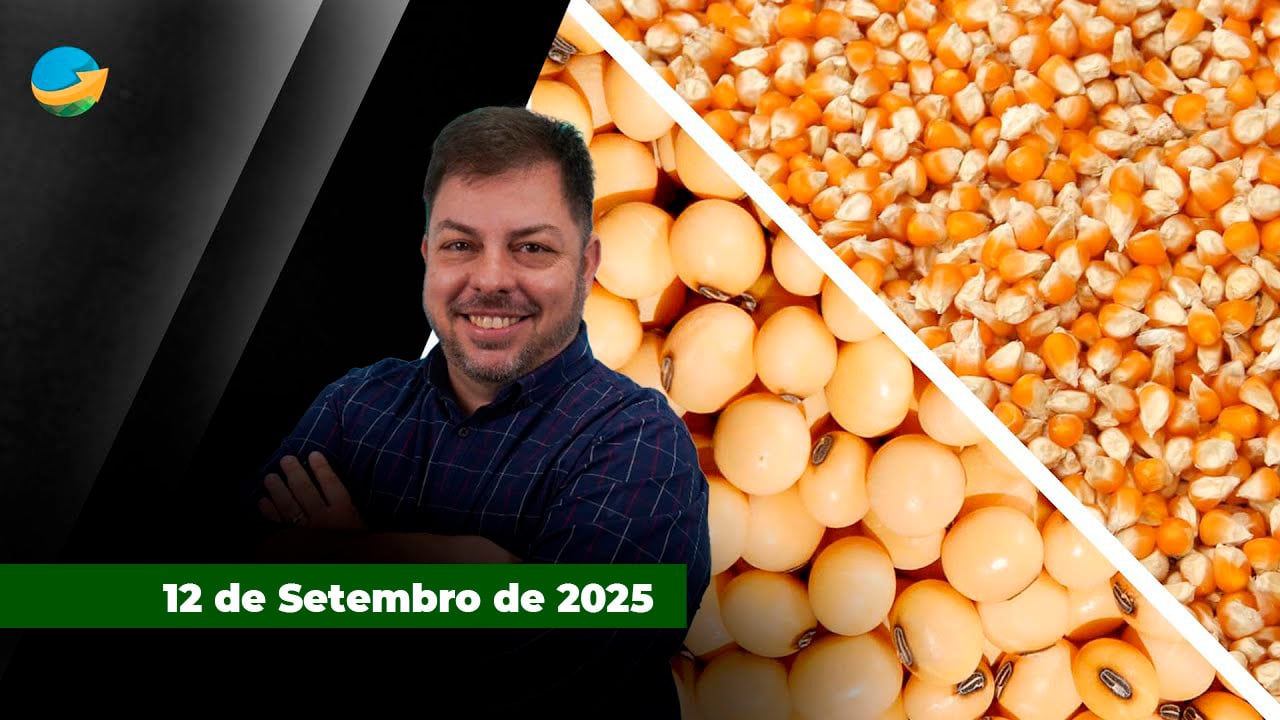 Em dia de relatório do USDA, tanto soja quanto milho tiveram alta em Chicago, apesar de números contraditórios