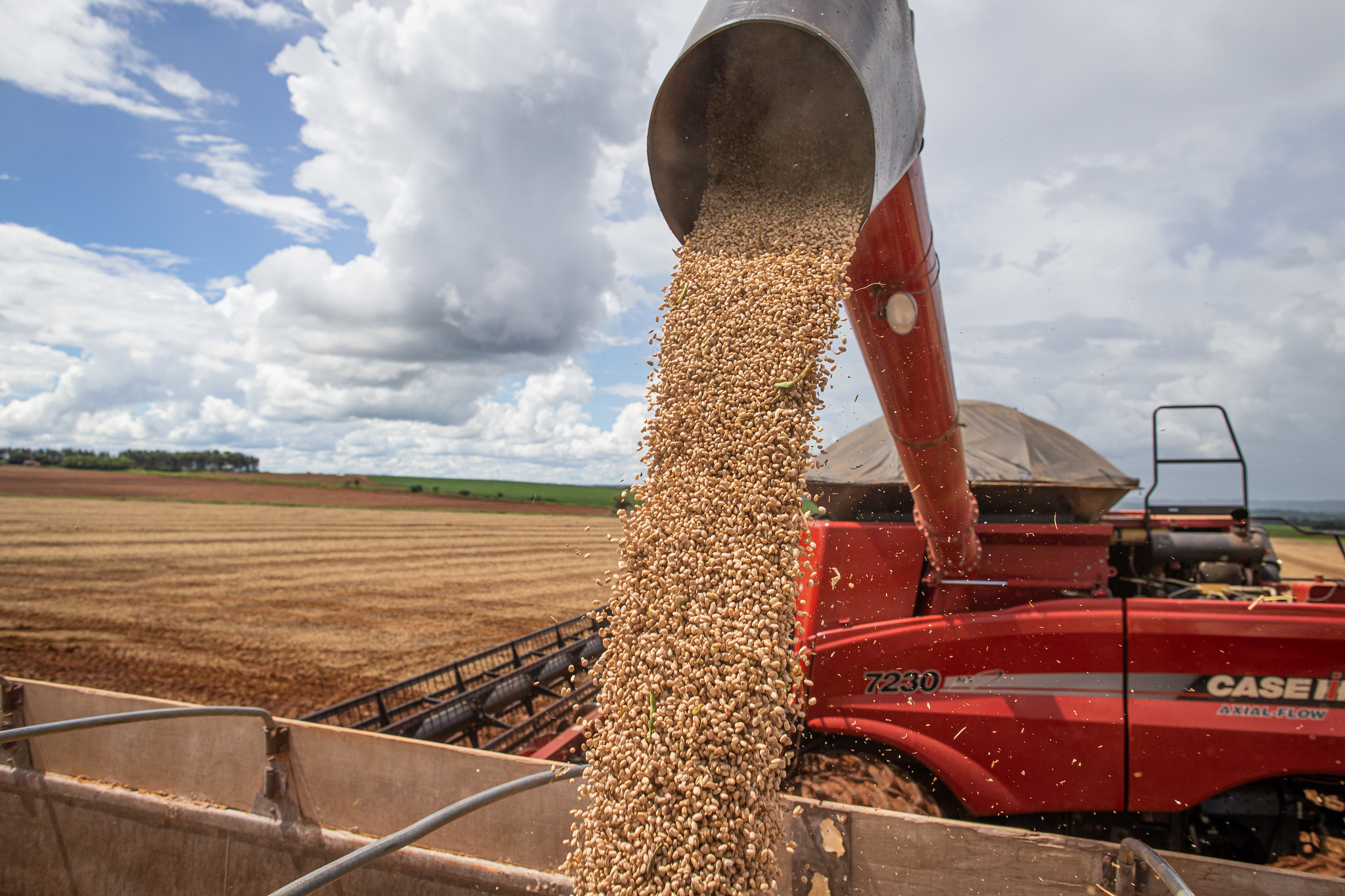 Ibrafe: Produtor de alimentos do Brasil faz a diferença