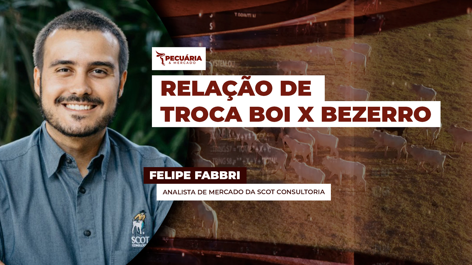 Apesar dos preços recordes dos bezerros, arroba do boi sobe e ainda oferece boa relação de troca