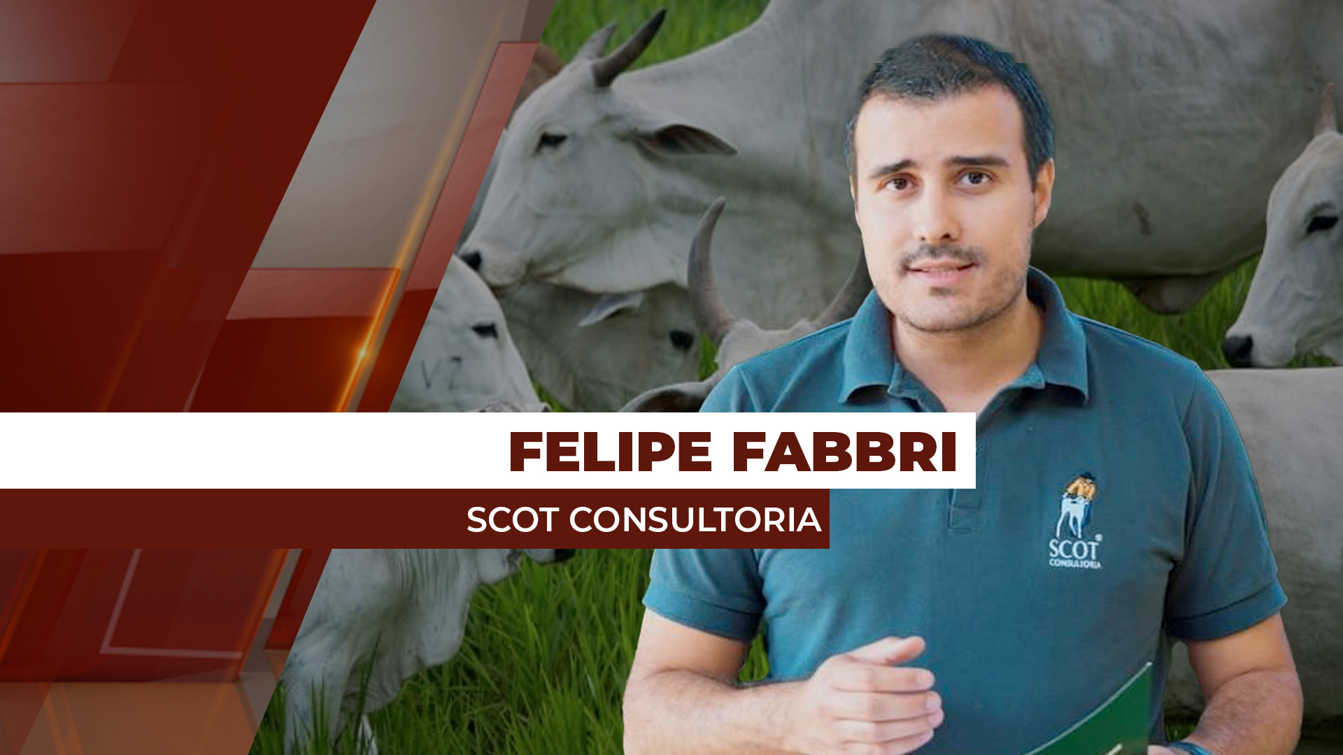 Primeiro giro de confinamento pode ser mais comedido, com pecuaristas ...