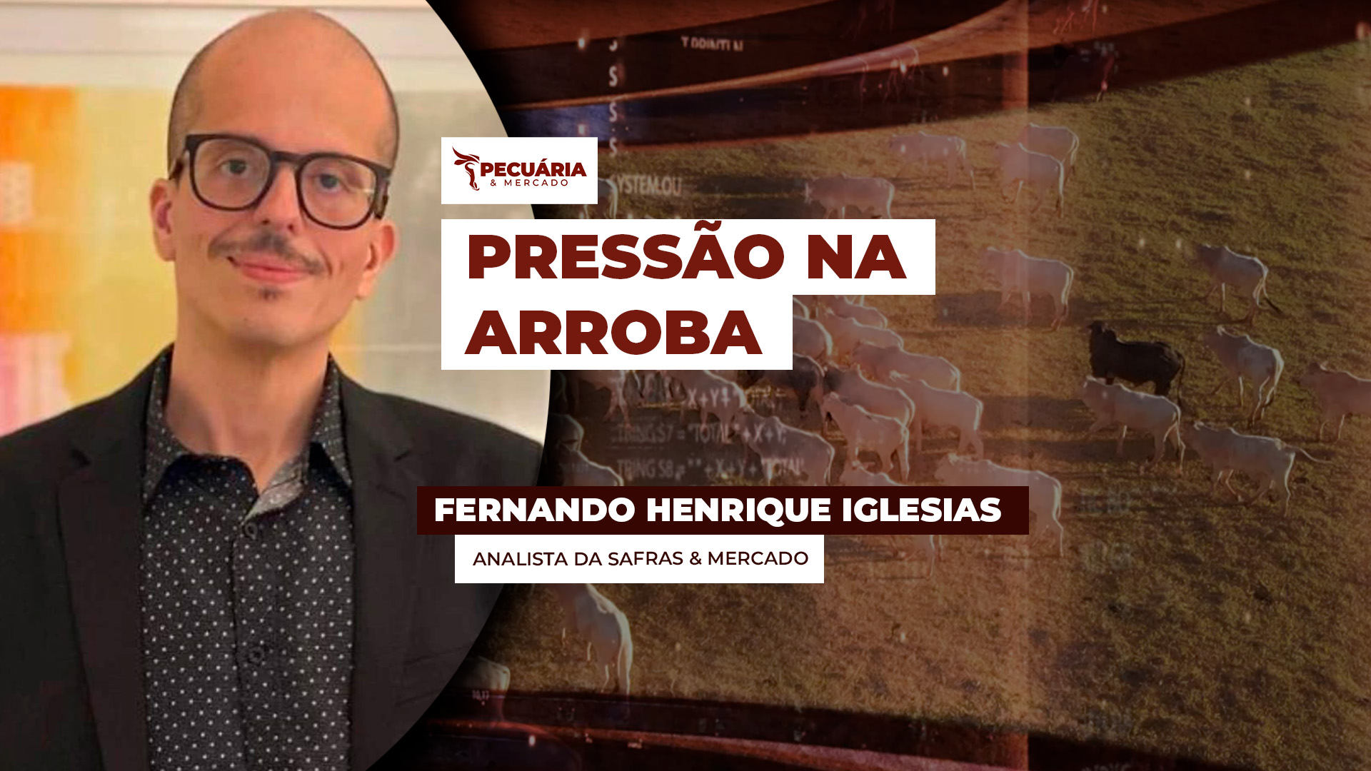 Arroba do boi sob pressão na B3 acende alerta para período delicado para os preços entre julho e setembro