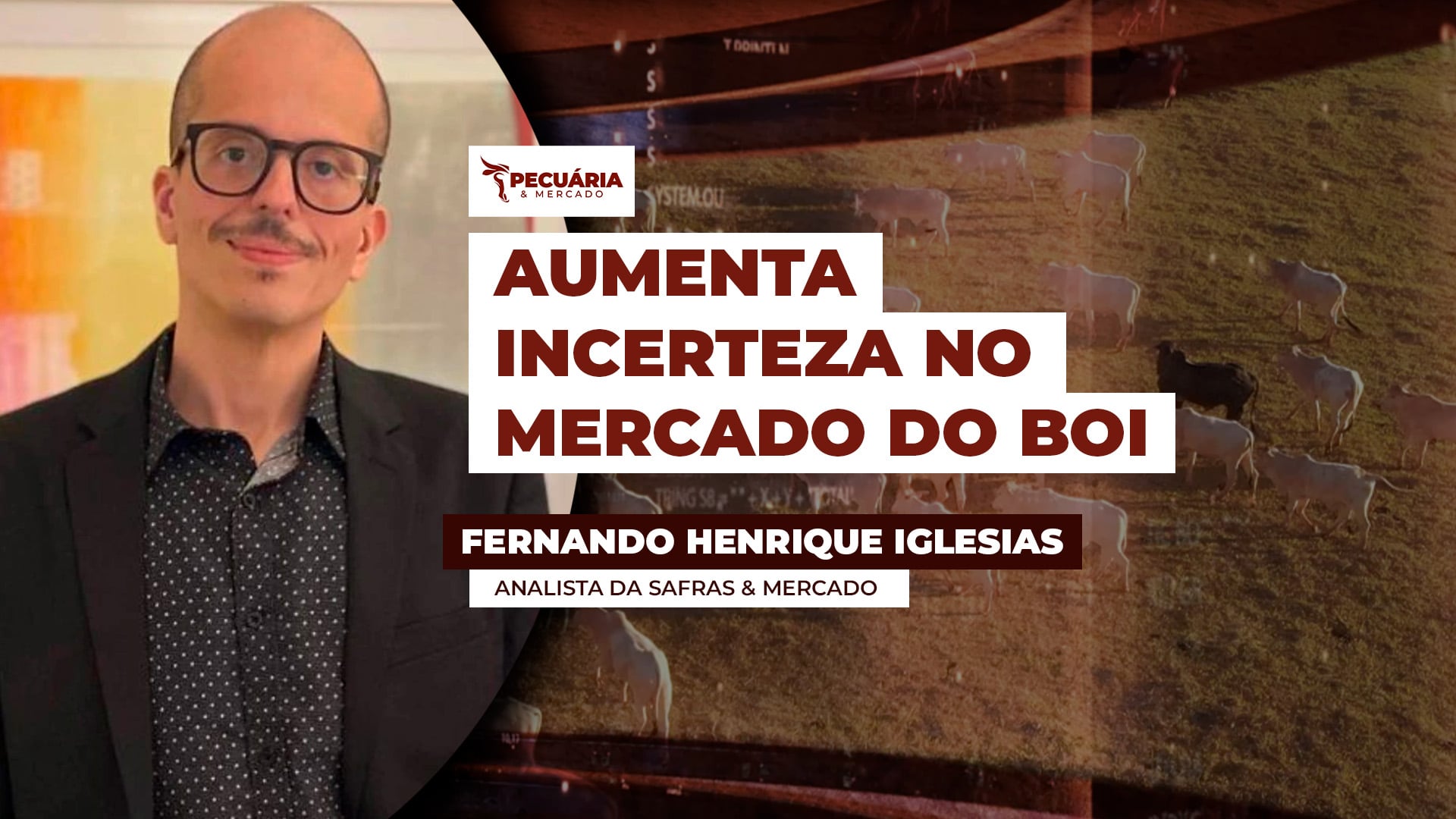 Novas notícias da China , dos EUA e da UE podem impactar preços da arroba do boi no curto prazo