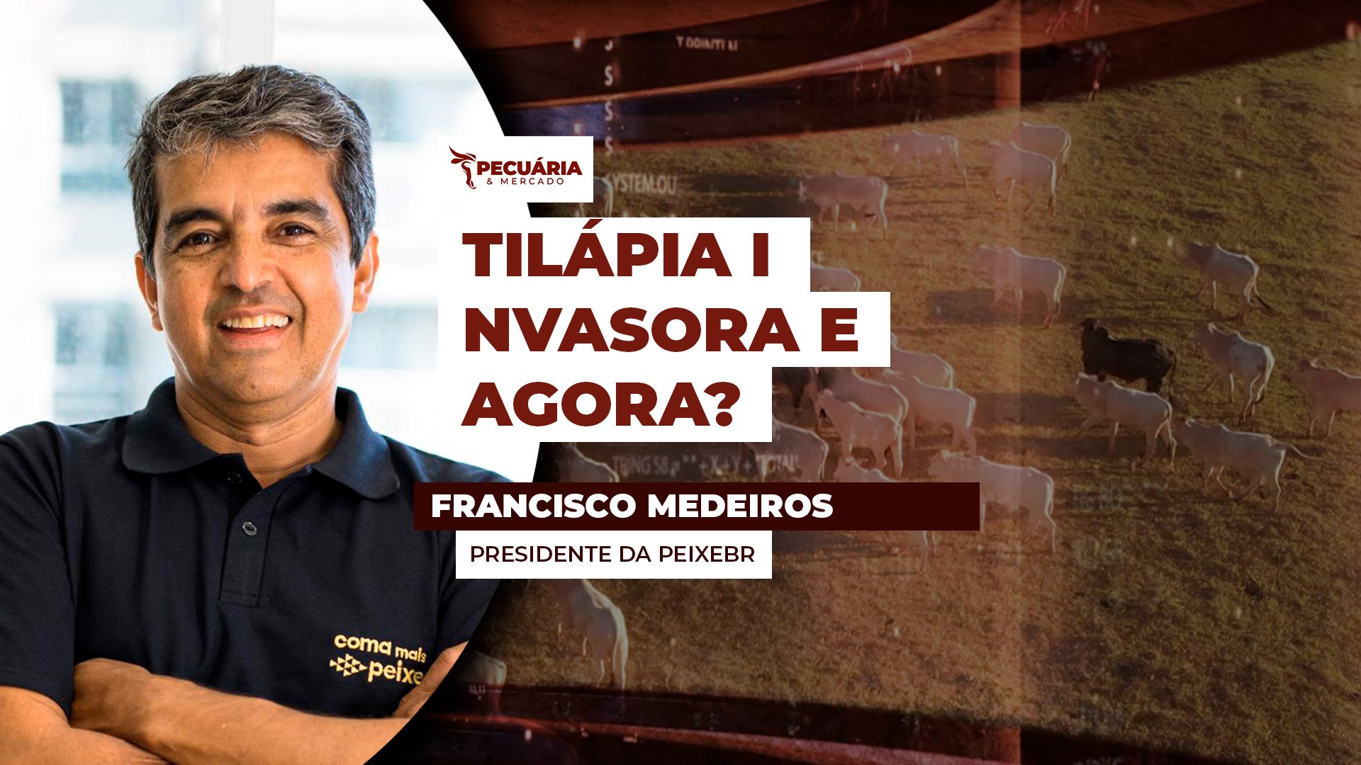 Classificação da tilápia como espécie invasora coloca a atividade em risco no Brasil