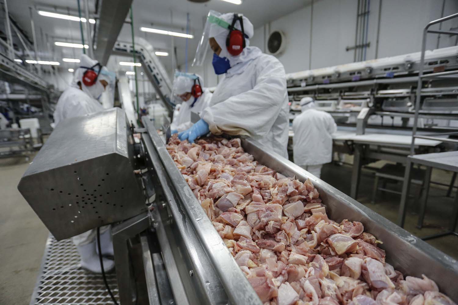 Exportações de carne de frango crescem 3% e alcançam novo recorde Receita com embarques aumenta 1,3%, e se aproxima de US$ 10 bilhões, aponta ABPA