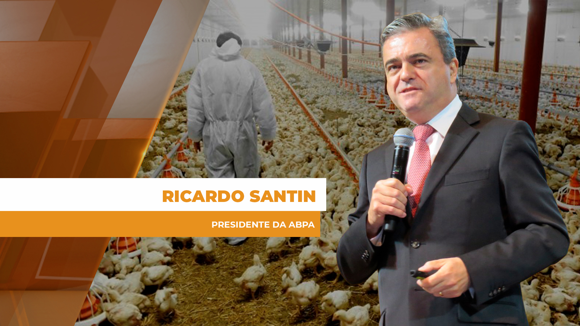 Tensão no Oriente Médio preocupa cadeia produtiva de aves