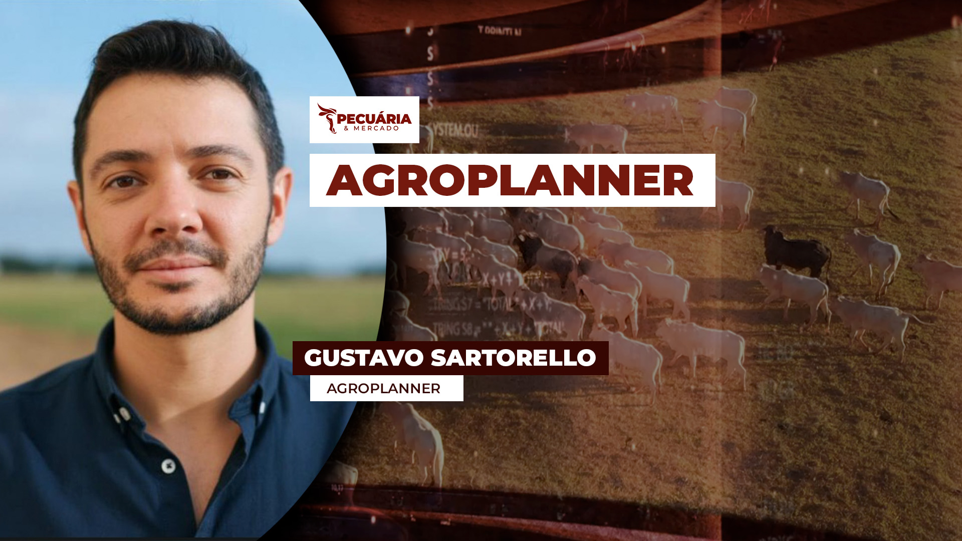 Comprar bezerro ou investir em CDI, o que rende mais? Entenda as contas e a necessidade de ajuste nas operações