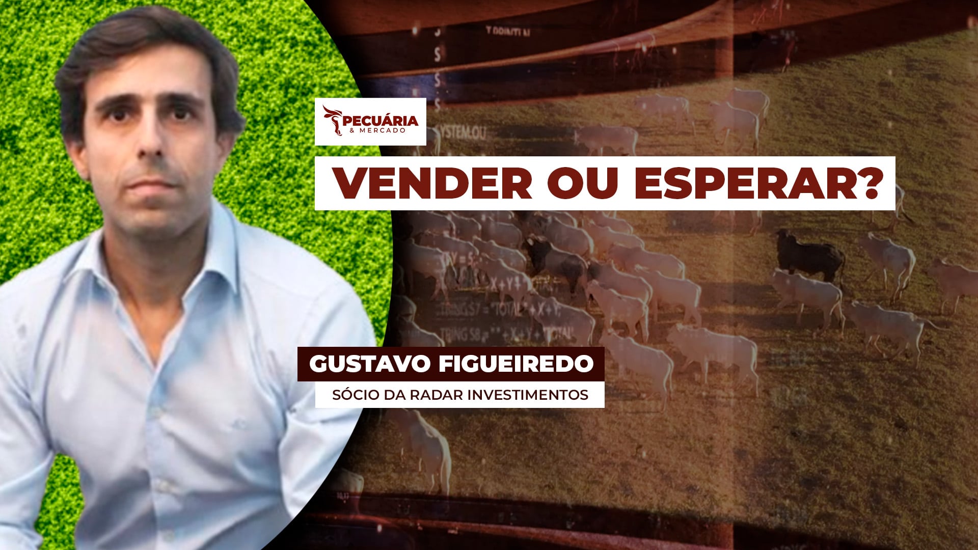Oferta concentrada de animais justifica queda nos preços da arroba do boi, explica analista