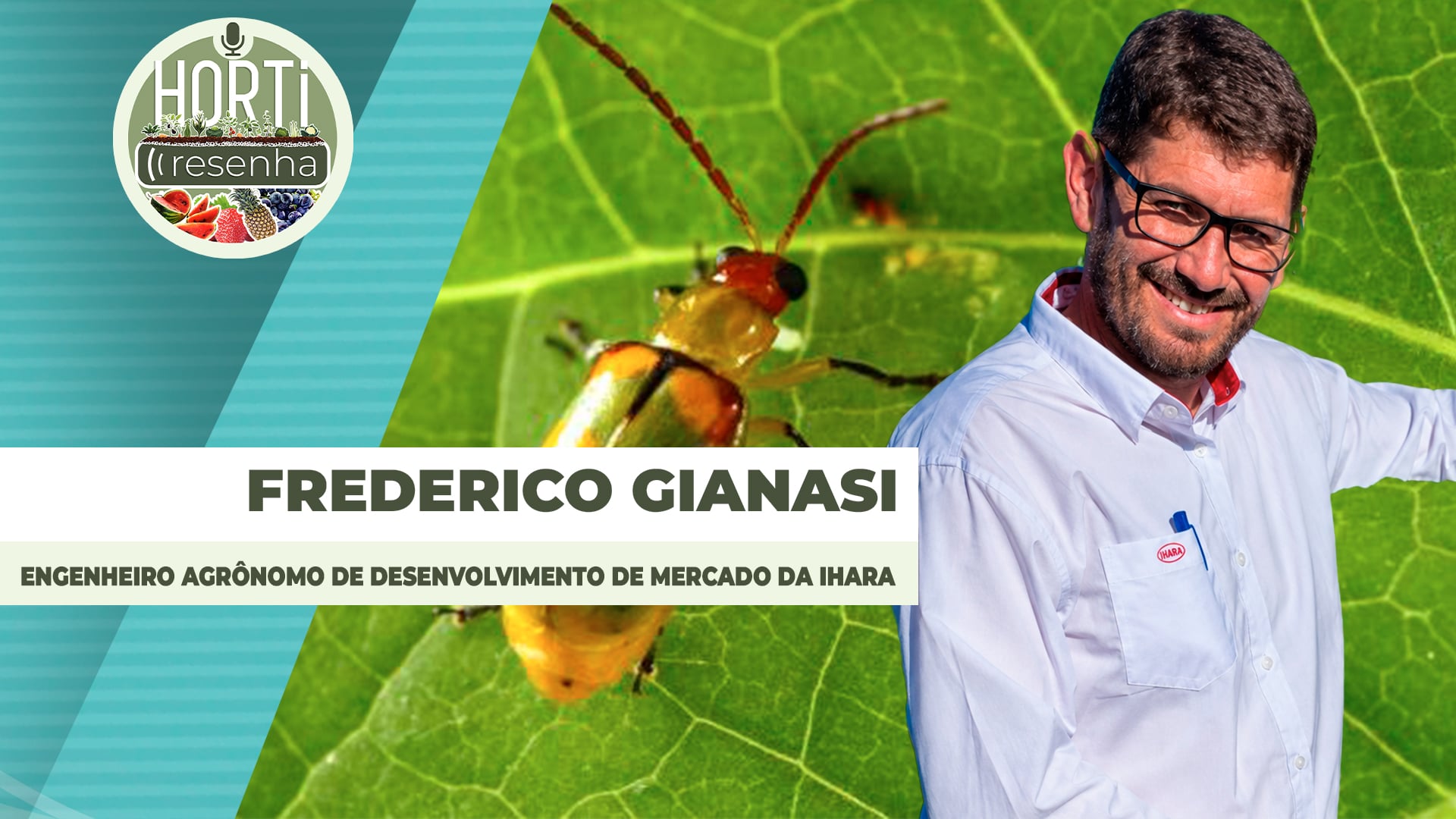 HORTI RESENHA #148 - Controle da larva-alfinete e da vaquinha na batata