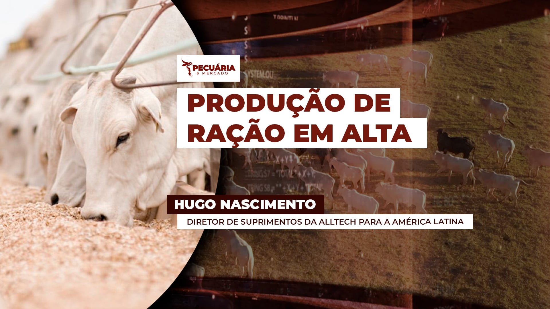 Produção de ração no Brasil cresce 2,8%, para 90 milhões de toneladas em 2025