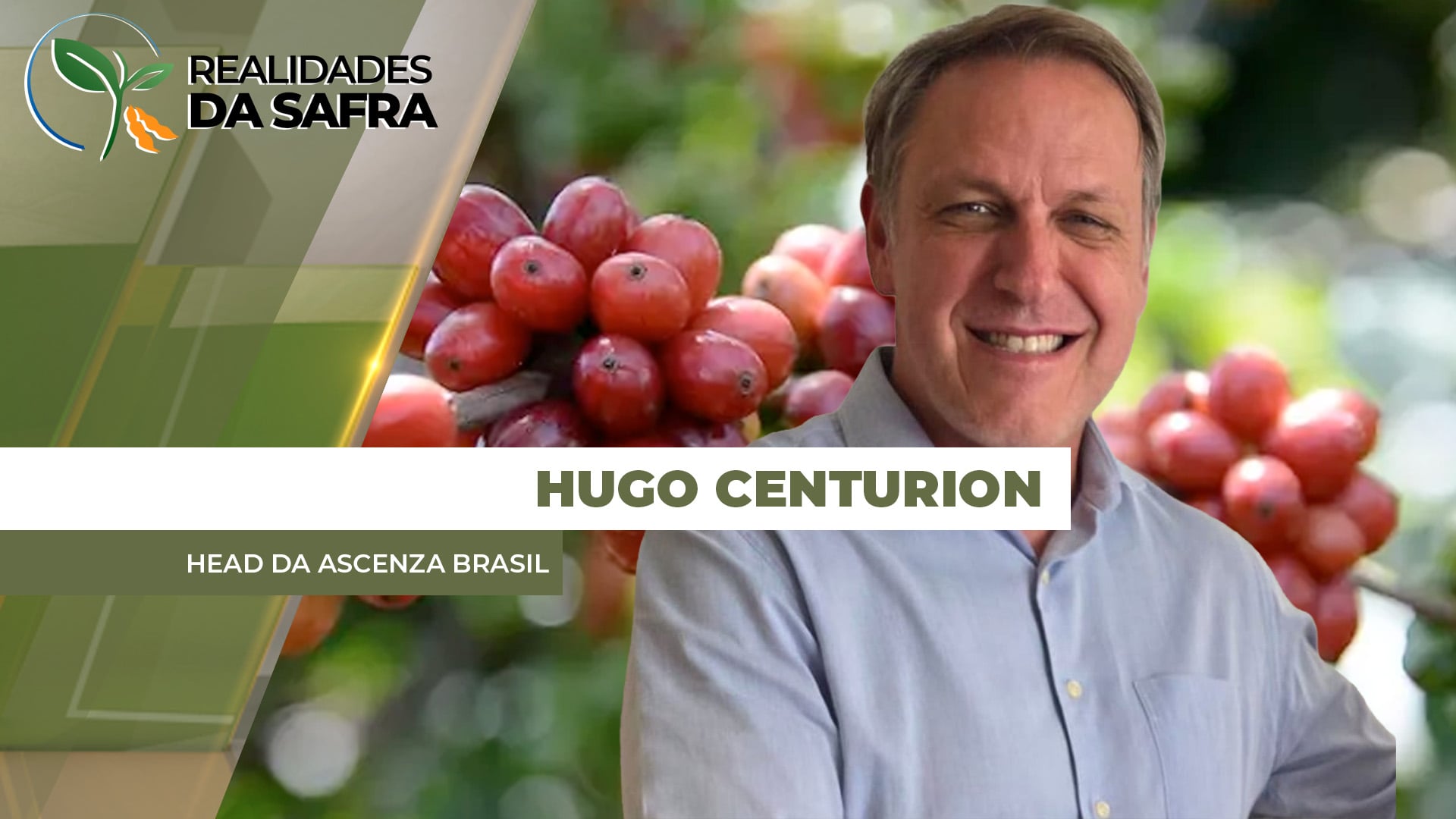 ENTREVISTA REALIDADES DA SAFRA COM - Hugo Centurion - Head da Ascenza Brasil