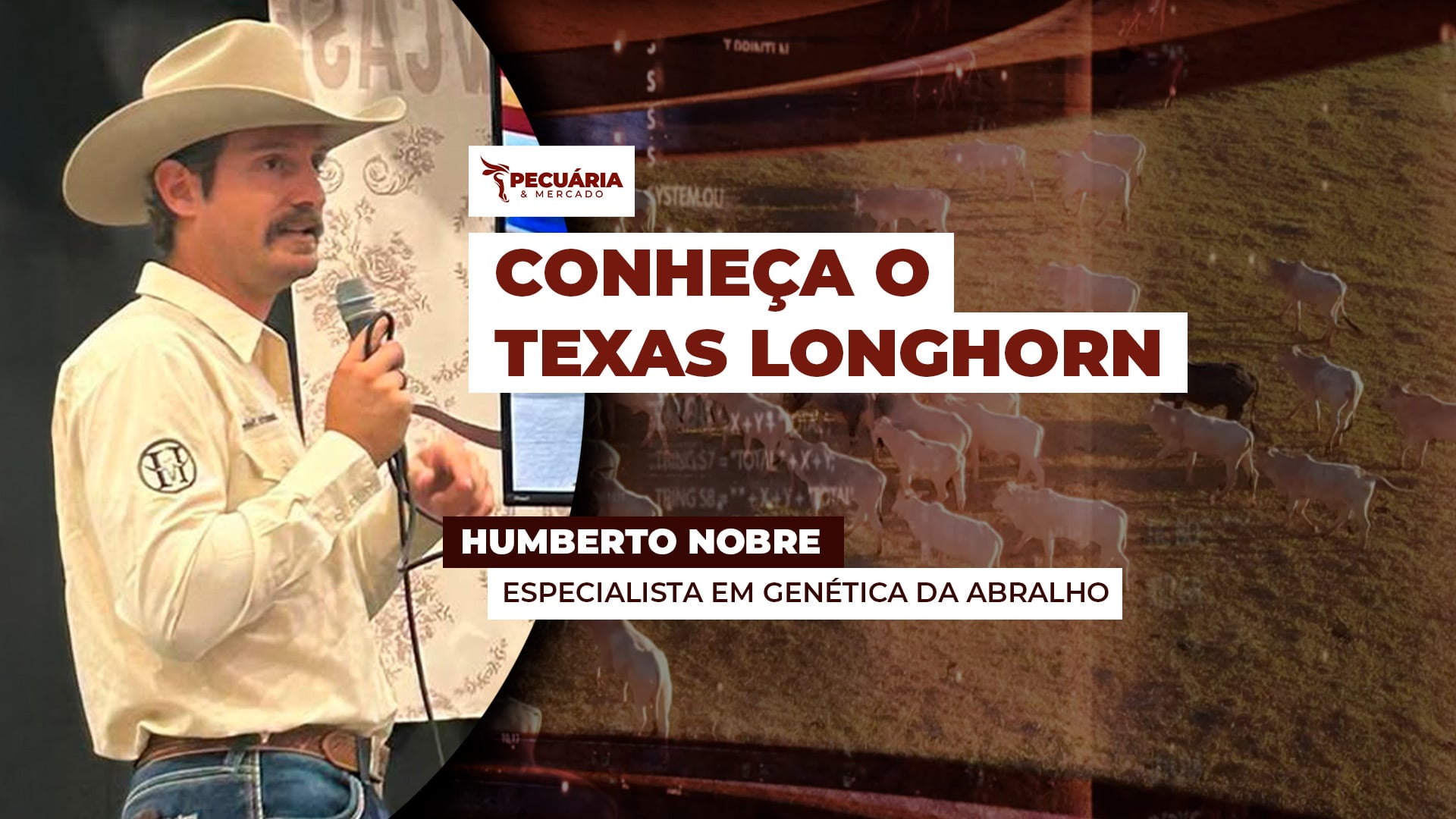 Conheça o Texas Longhorn, raça americana que promete mudanças de conceito