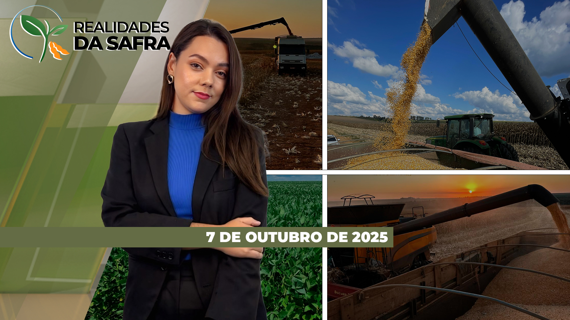 Plantio da safra de soja avança no Paraná, enquanto em anta Catarina chuvas atrasam semeadura do milho verão